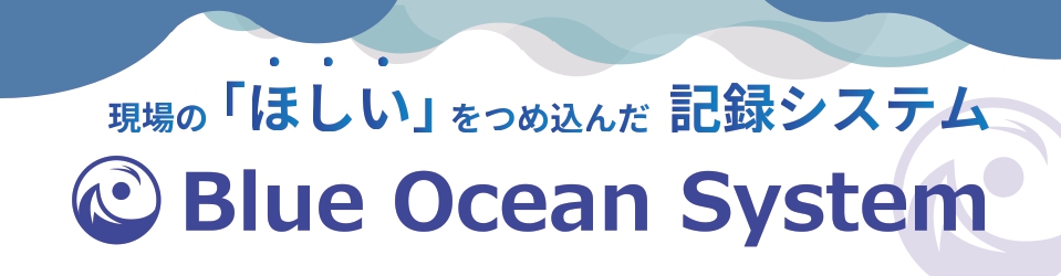 Blue Ocean System