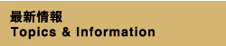 更新情報